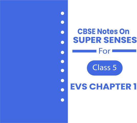 Super Senses Class 5 Notes CBSE EVS Chapter 1